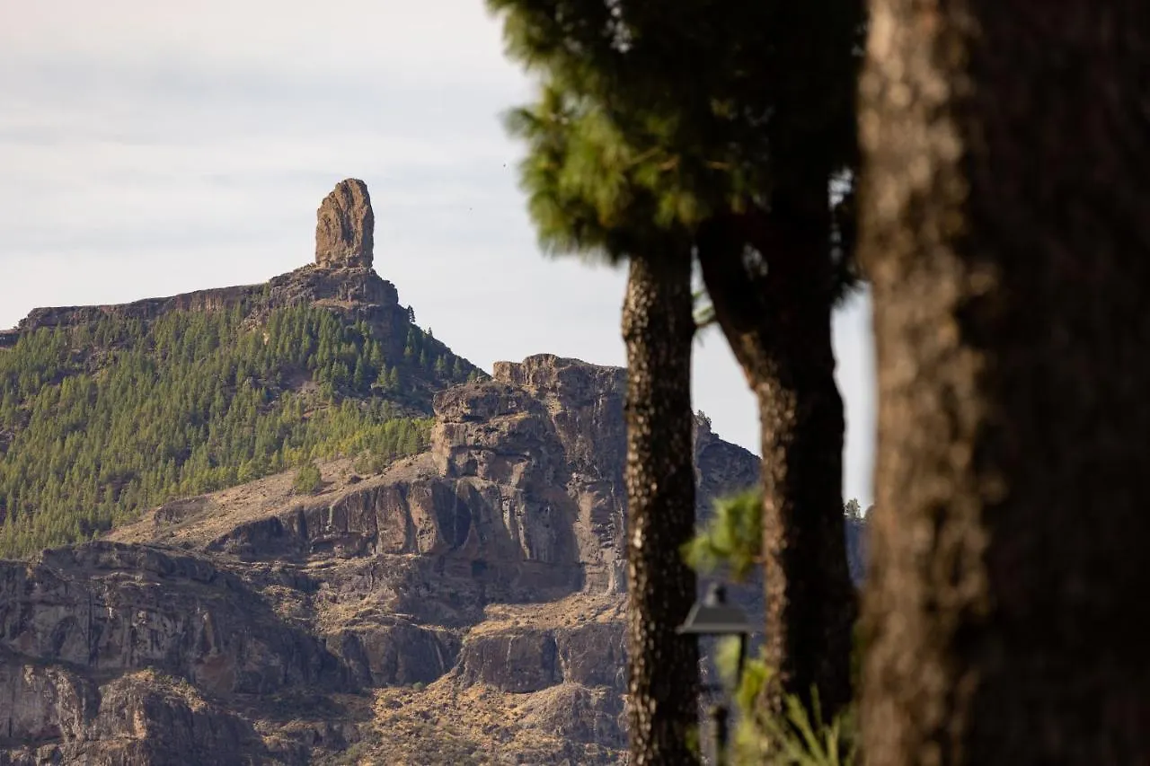 Casa Maria With Roque Nublo View Apartment Tejeda